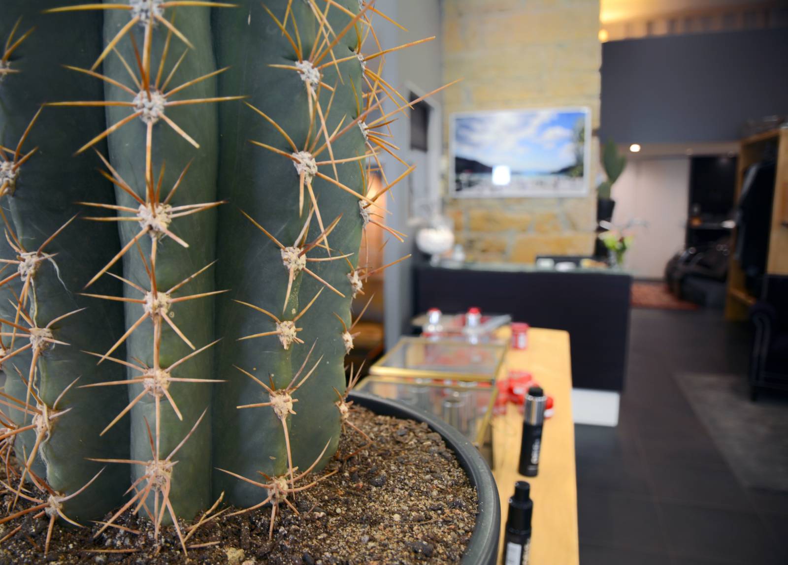 Coiffure des Arts à Lyon