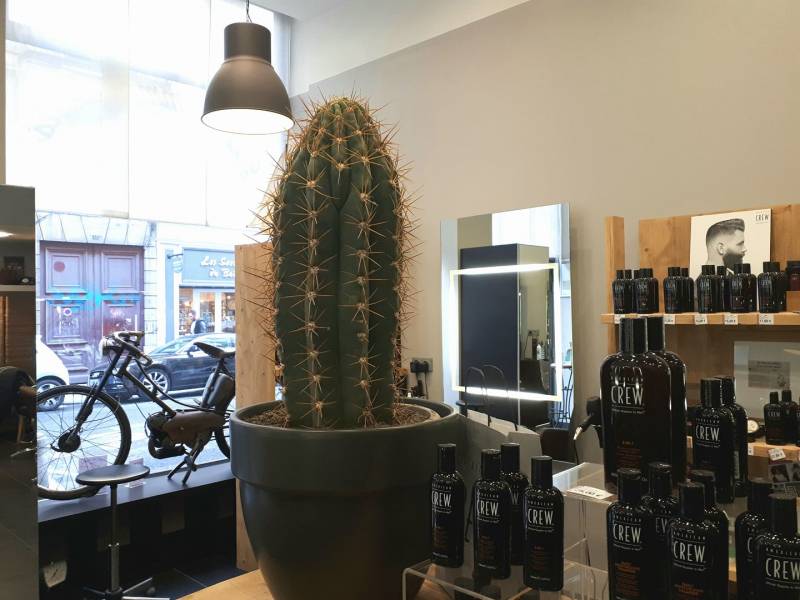 Coiffeur pour femmes Bellecour à Lyon 2e