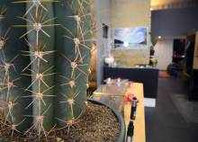 Nos prestations sur le secteur de à Lyon 2e, entre Perrache et Ampère – Victor Hugo